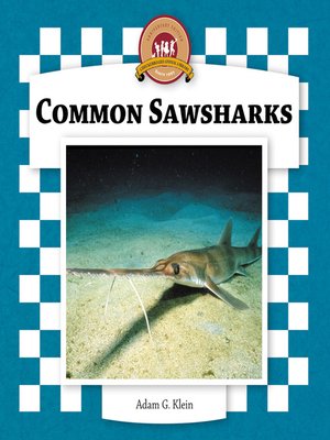 cover image of Common Sawsharks